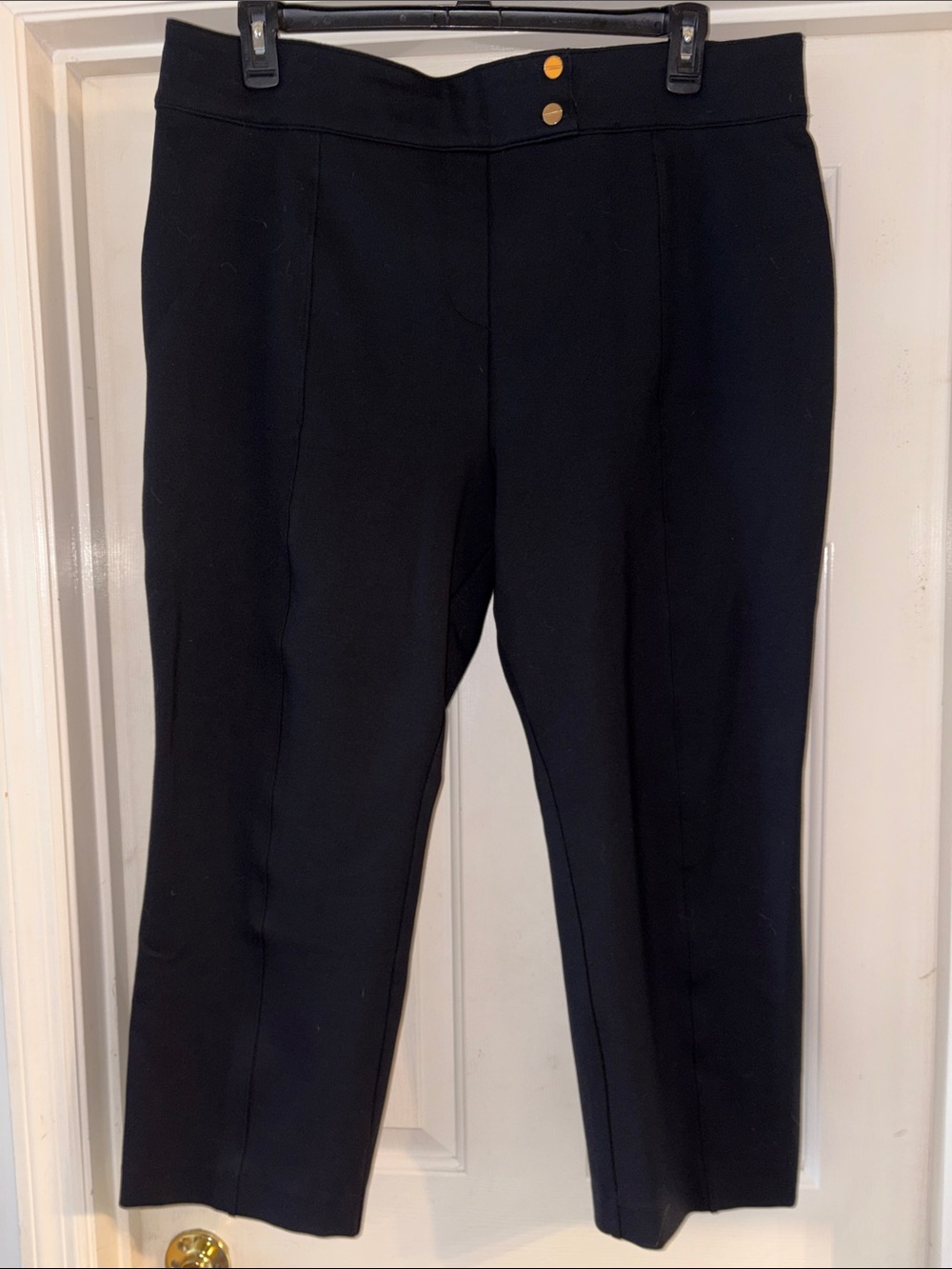 Spanx Perfect Pant Pants 3X Plus Size Petite